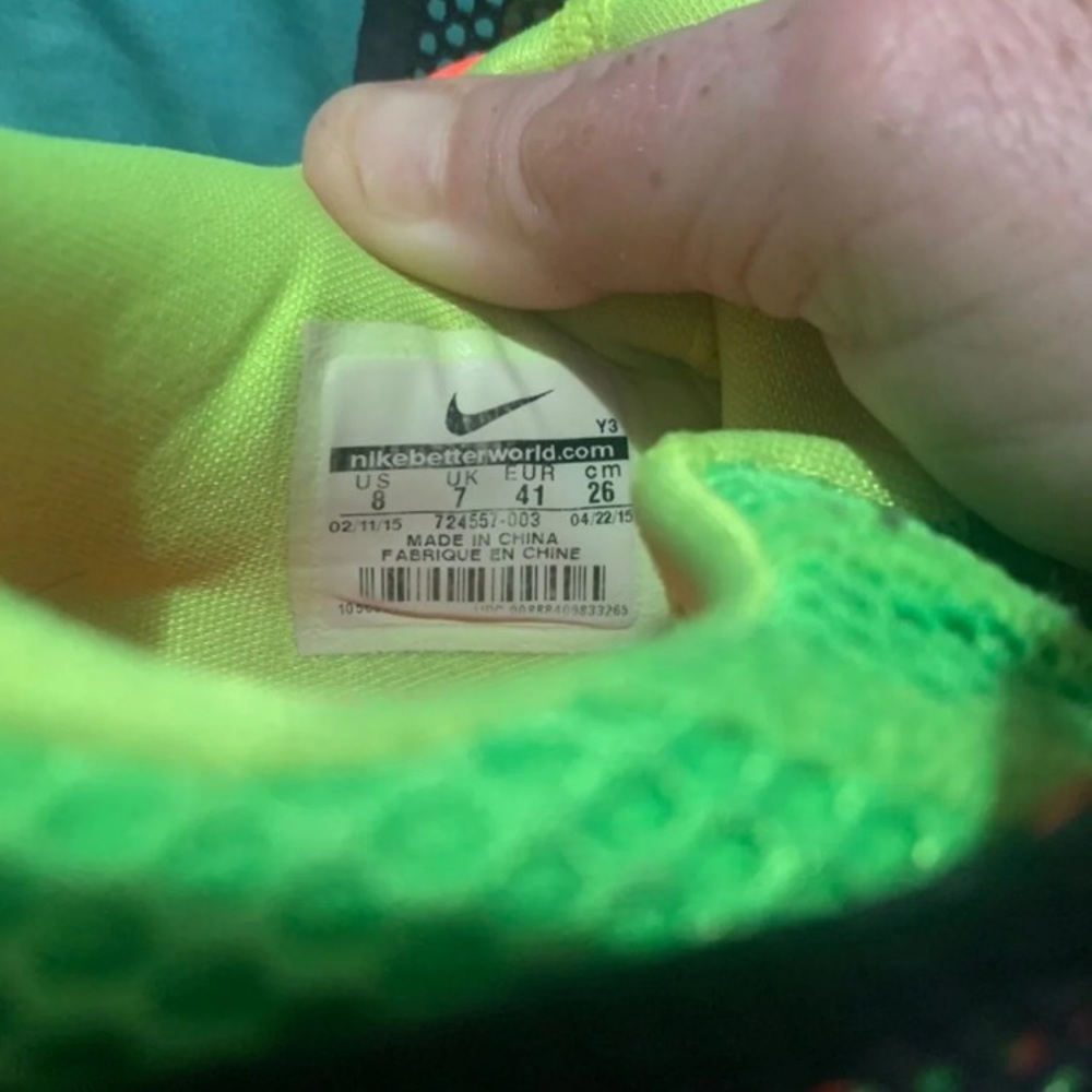 Lebron - Picture 5 of 6